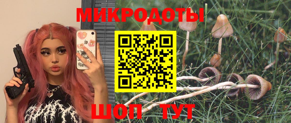 Галлюциногенные грибы Cubensis  Вход с VPN  Галлюциногенные грибы Cubensis  Новый Уренгой 